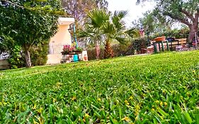 Theocharis Paradise